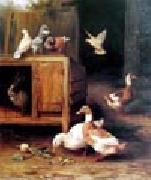 unknow artist Duck and Pigeon china oil painting reproduction
